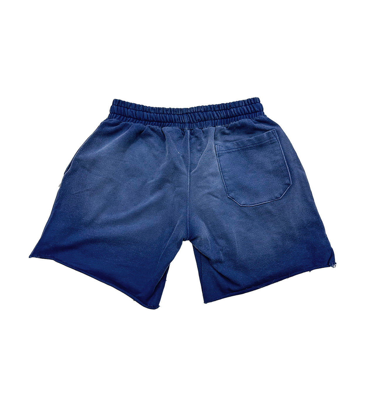 Vertabrae Blue Double Emblem Shorts