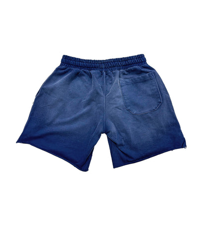 Vertabrae Blue Double Emblem Shorts